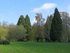 schlosspark etelsen 02